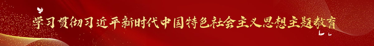专题名称：学习贯彻习近平新时代中国特色社会主义思想主题教育